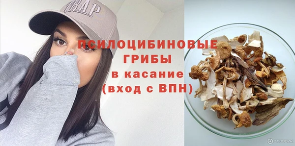 кокс Алексин