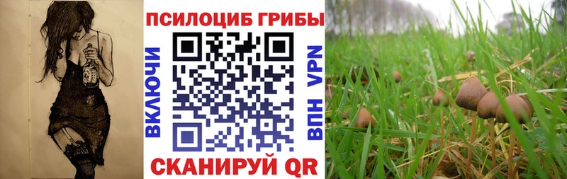 Галлюциногенные грибы ЛСД Невьянск
